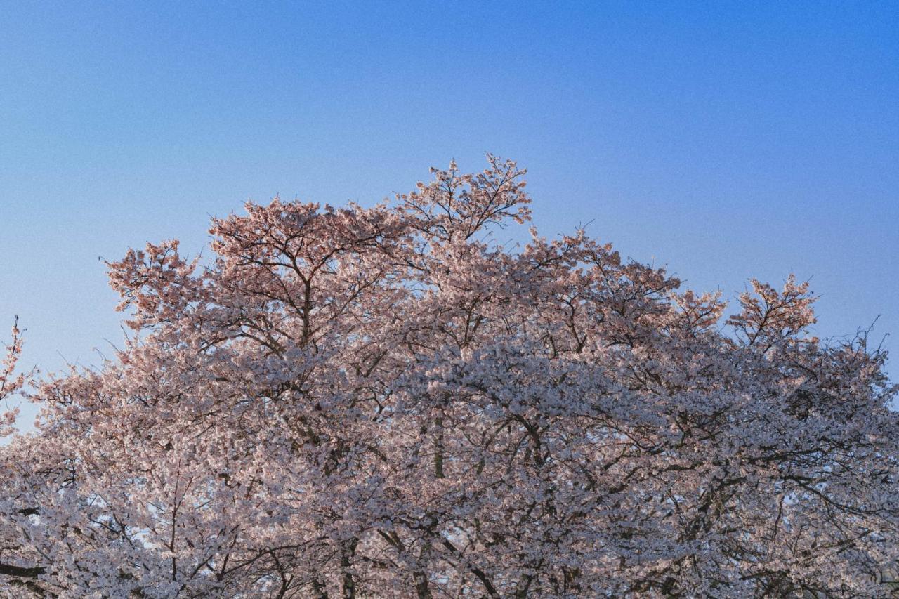 Kominkayado Loof Sakanoie Fuefuki Bagian luar foto