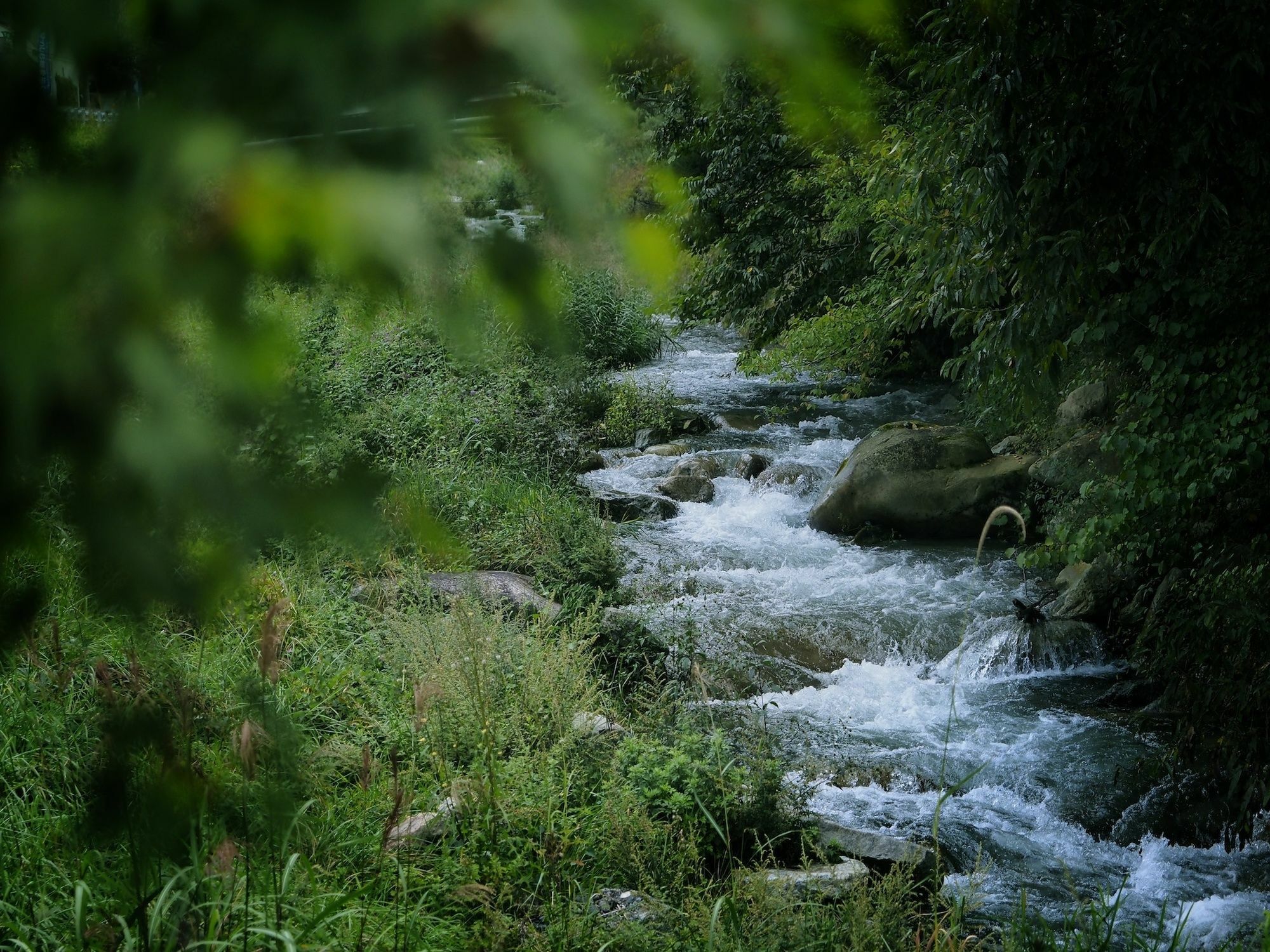 Kominkayado Loof Sakanoie Fuefuki Bagian luar foto